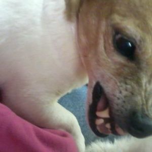 Meet your Posher, Sandra